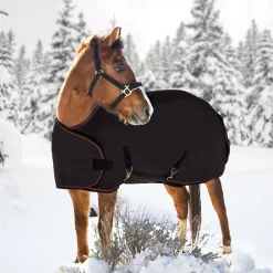 Outlet KENSINGTON ™ Signature Adjustable Yearling Turnout Blanket