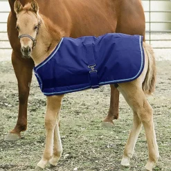 Clearance KENSINGTON ™ Signature Adjustable Small Foal Turnout Blanket