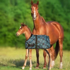 Clearance KENSINGTON ™ Signature Adjustable Small Foal Turnout Blanket