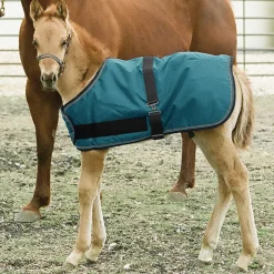 Clearance KENSINGTON ™ Signature Adjustable Small Foal Turnout Blanket