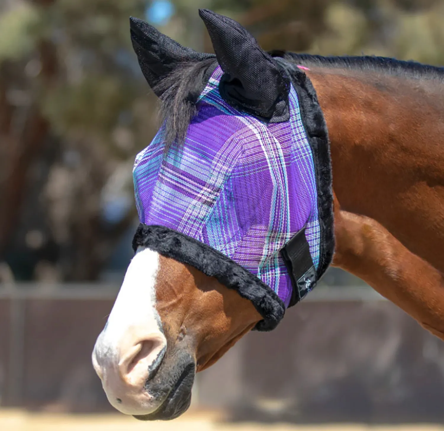 Sale KENSINGTON ™ Signature Fly Mask with Plush Fleece, Ears & Forelock Hole