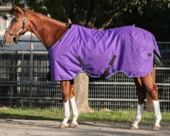 KENSINGTON ™ Signature Lightweight Turnout Blanket