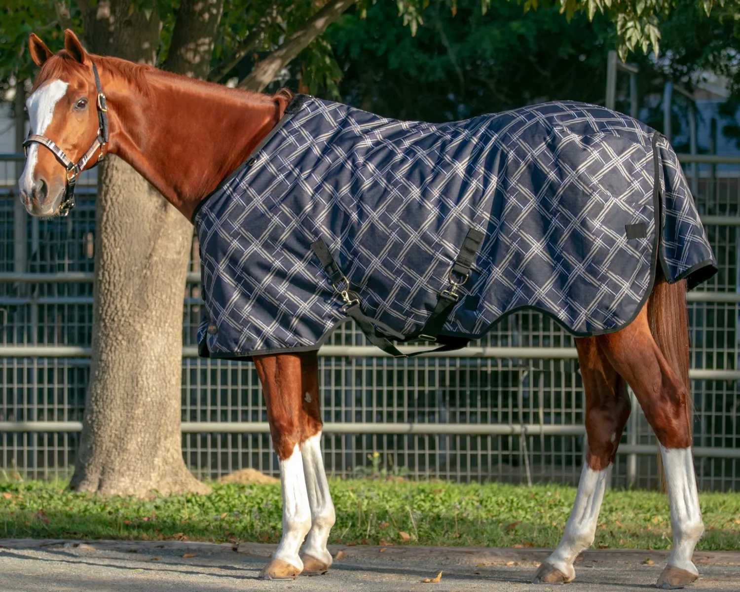 KENSINGTON ™ Signature Lightweight Turnout Blanket