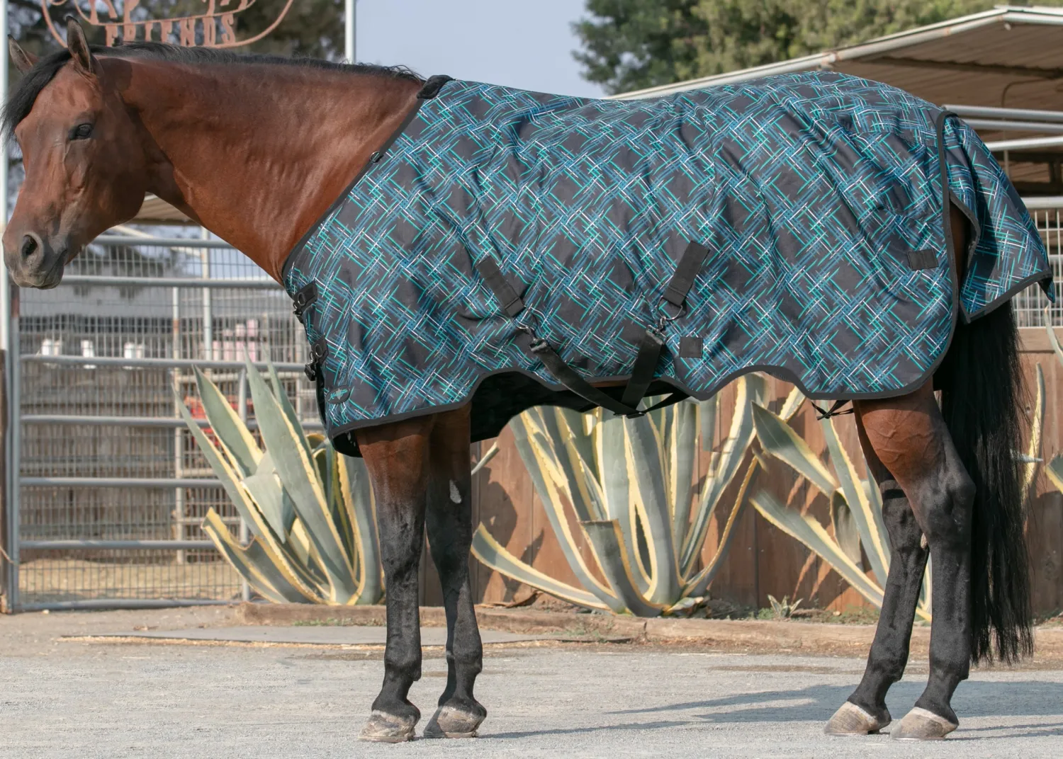 KENSINGTON ™ Signature Lightweight Turnout Blanket