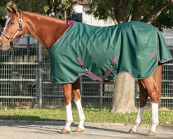 KENSINGTON ™ Signature Medium-Weight Turnout Blanket