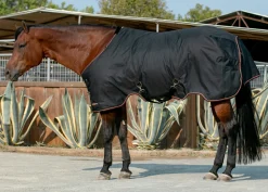 KENSINGTON ™ Signature Medium-Weight Turnout Blanket