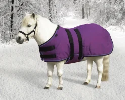 Sale KENSINGTON ™ Signature Mini Heavyweight Turnout Blanket