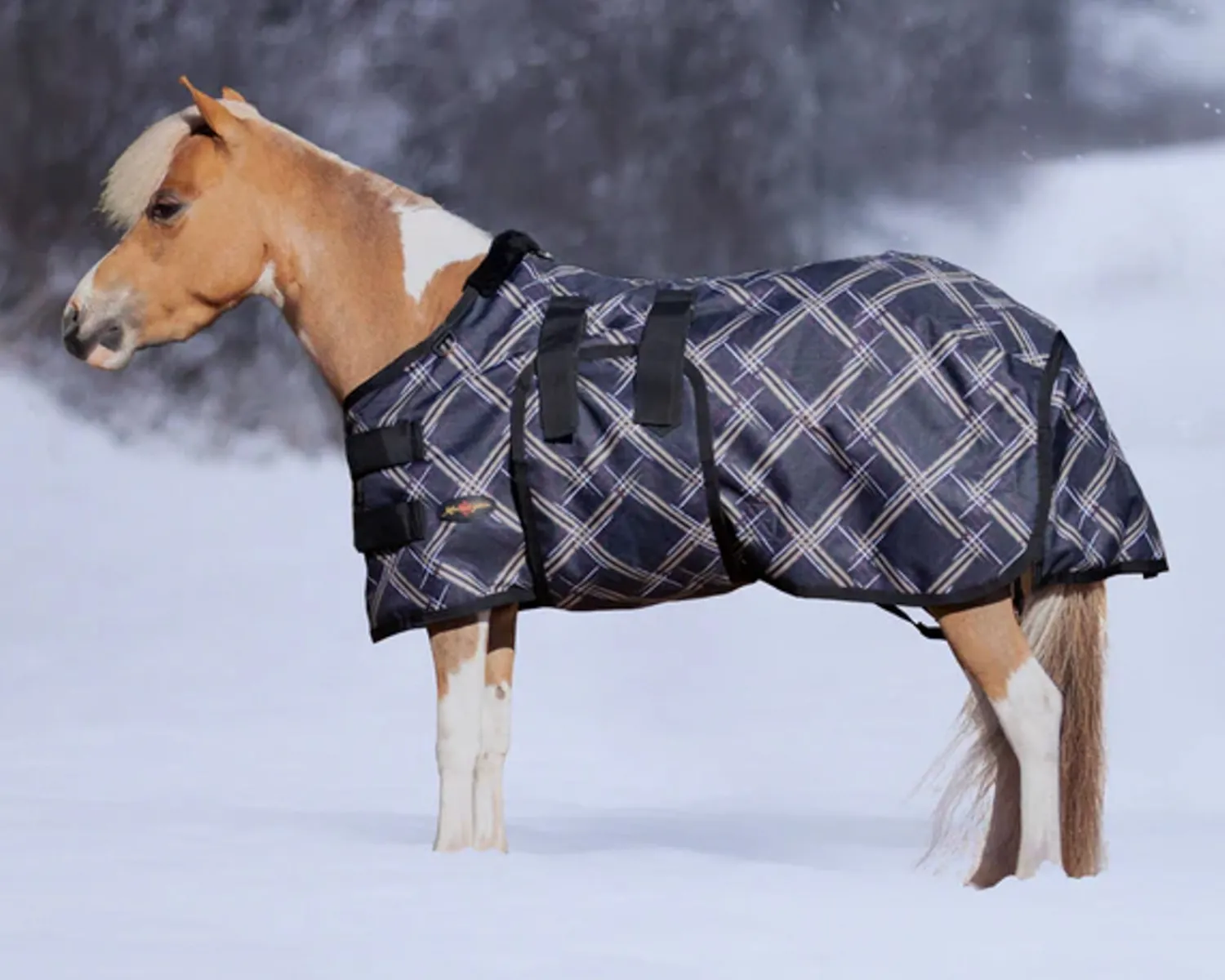 KENSINGTON ™ Signature Mini Medium-Weight Turnout Blanket
