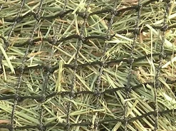 KENSINGTON ™ Slow Feed 2-Flake Hay Bag