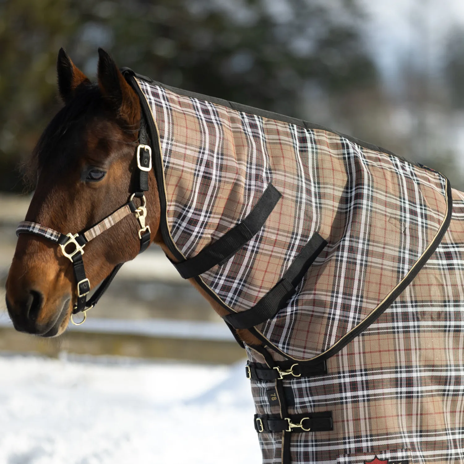 Online KENSINGTON ™ SuperMesh 180 Gram Medium-Weight Neck Warmer