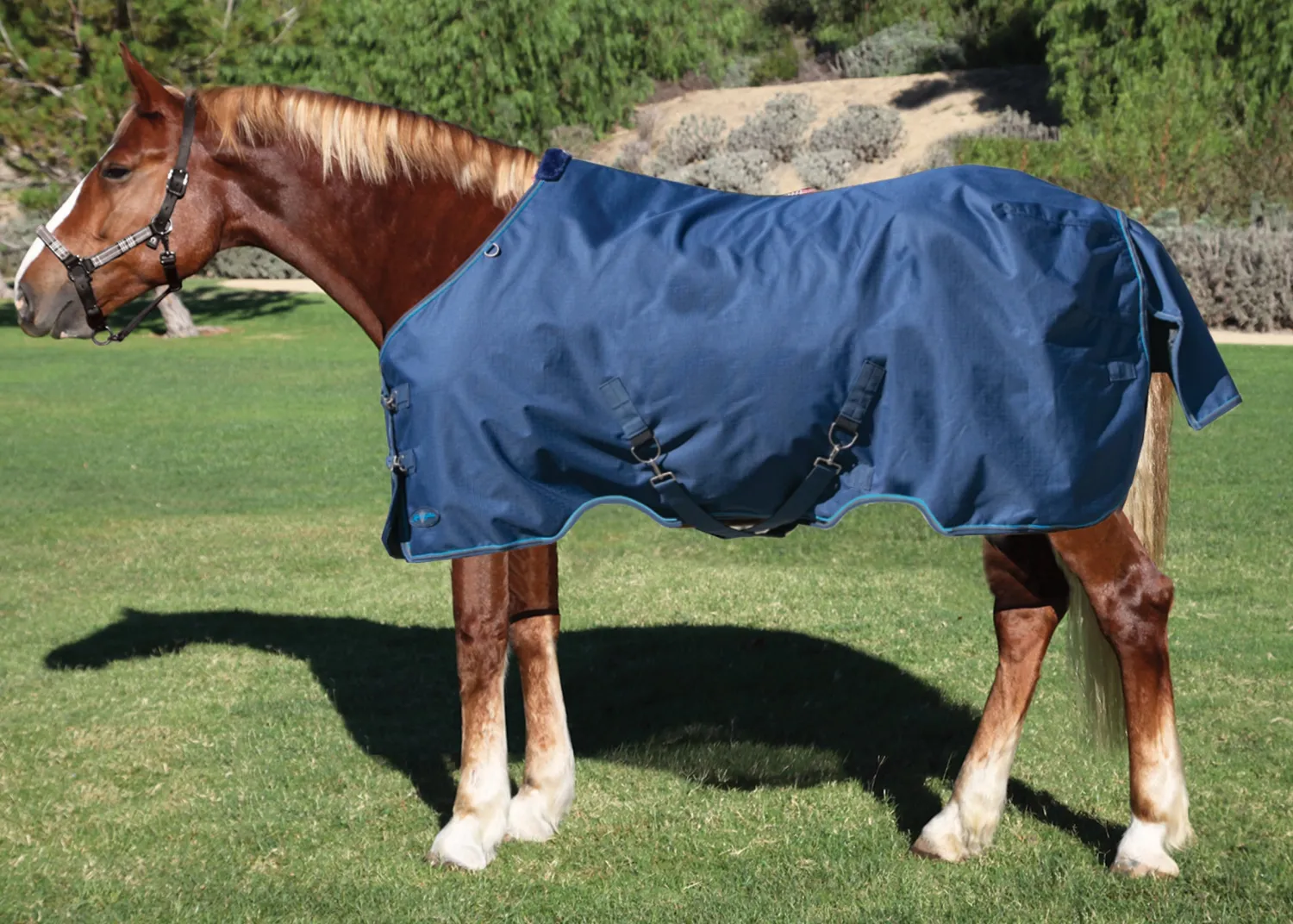 Clearance KENSINGTON ™ XL Signature Medium-Weight Turnout Blanket