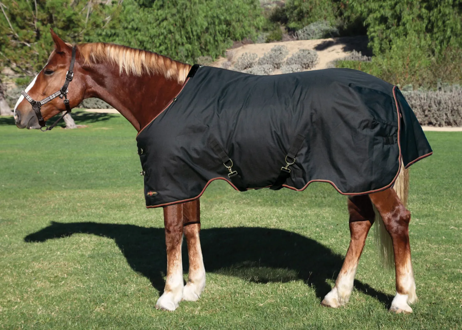 Clearance KENSINGTON ™ XL Signature Medium-Weight Turnout Blanket