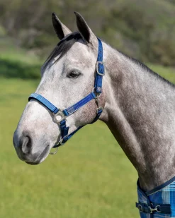 Outlet KENSINGTON ™ Premium Halter