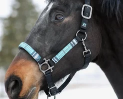 Outlet KENSINGTON ™ Premium Halter