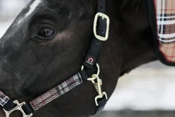 Outlet KENSINGTON ™ Premium Halter