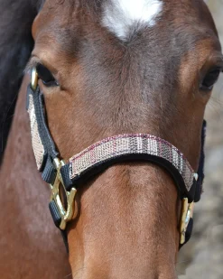 Outlet KENSINGTON ™ Premium Halter