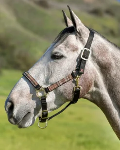 Outlet KENSINGTON ™ Premium Halter