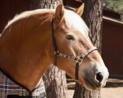 Outlet KENSINGTON ™ Premium Halter