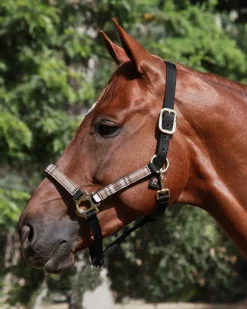 Outlet KENSINGTON ™ Premium Halter