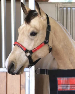 Outlet KENSINGTON ™ Premium Halter
