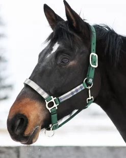 Outlet KENSINGTON ™ Premium Halter