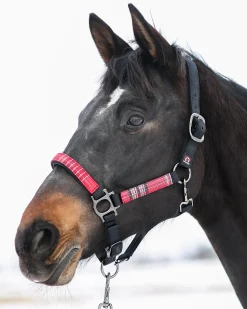Outlet KENSINGTON ™ Premium Halter