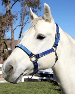 Outlet KENSINGTON ™ Premium Halter