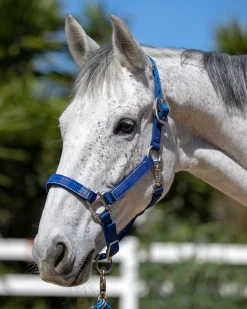 Outlet KENSINGTON ™ Premium Halter