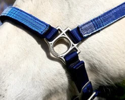 Outlet KENSINGTON ™ Premium Halter