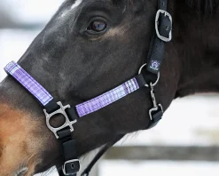 Outlet KENSINGTON ™ Premium Halter