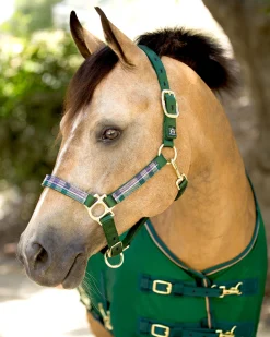 Outlet KENSINGTON ™ Premium Halter