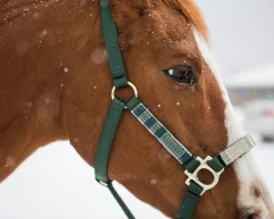 Outlet KENSINGTON ™ Premium Halter