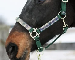 Outlet KENSINGTON ™ Premium Halter