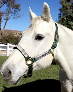Outlet KENSINGTON ™ Premium Halter