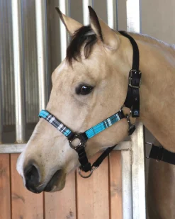 Outlet KENSINGTON ™ Premium Halter