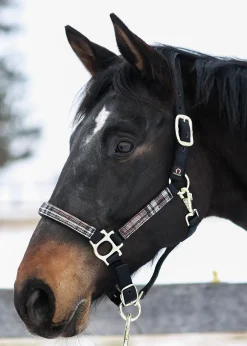 Outlet KENSINGTON ™ Premium Halter