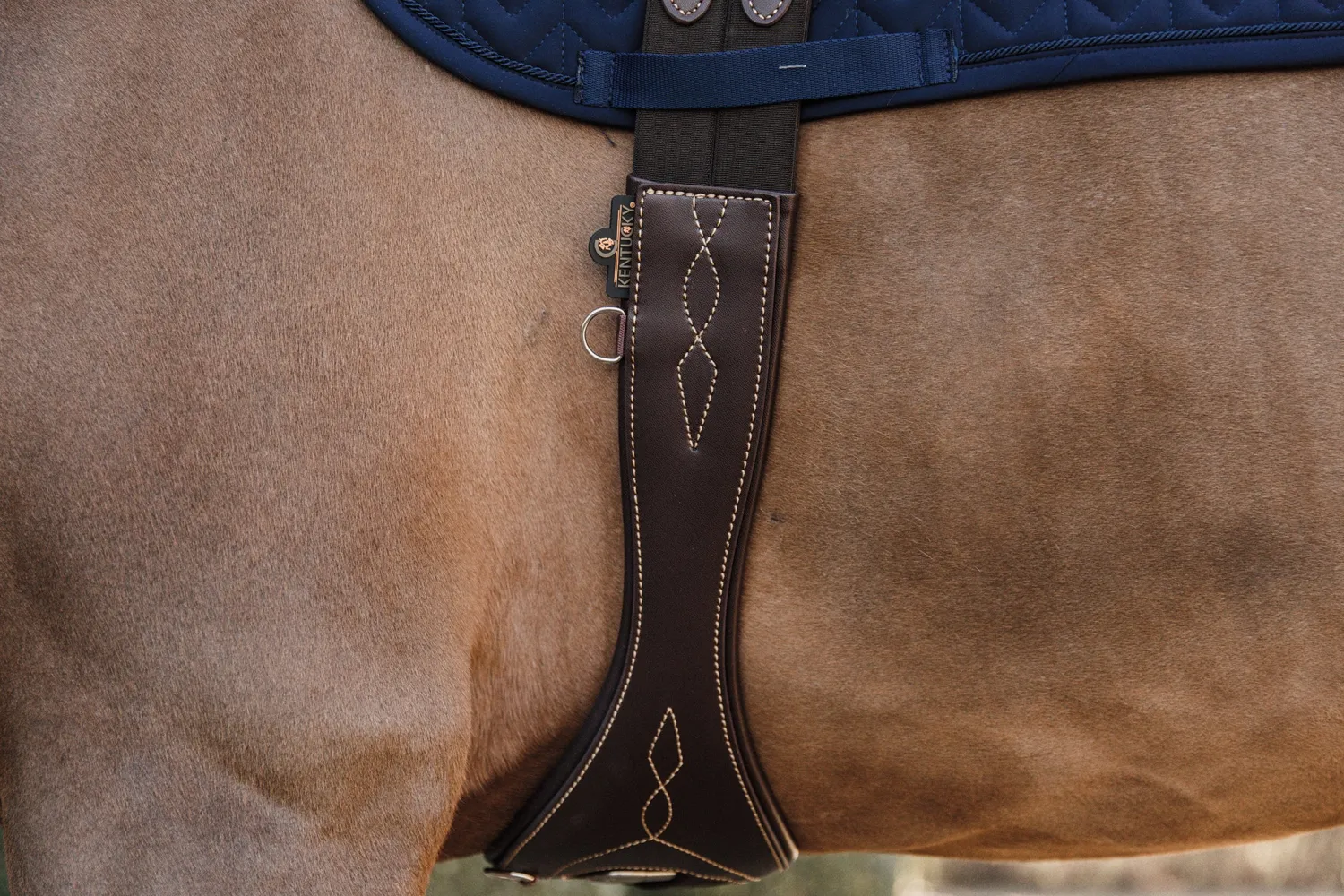 Online KENTUCKY HORSEWEAR Anatomic Long Girth