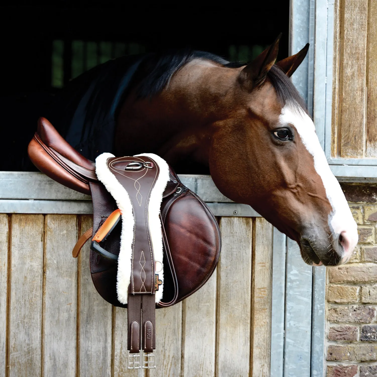 Online KENTUCKY HORSEWEAR Anatomic Sheepskin Long Girth Brown