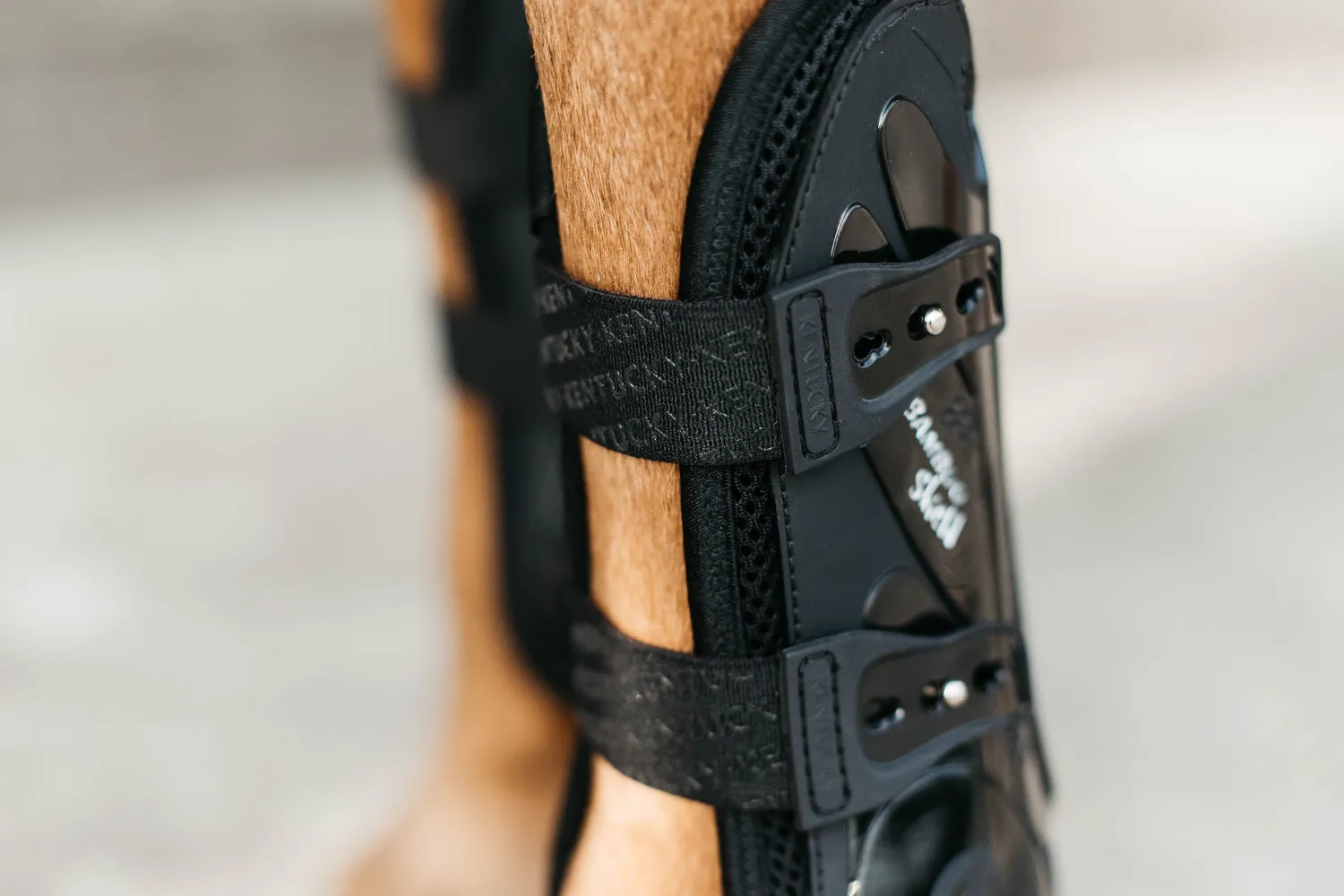 Hot KENTUCKY HORSEWEAR Bamboo Elastic Tendon Boots Black