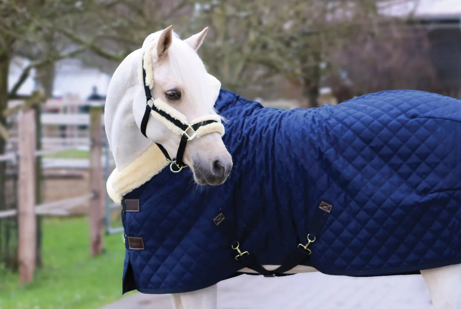 New KENTUCKY HORSEWEAR Show Rug Navy