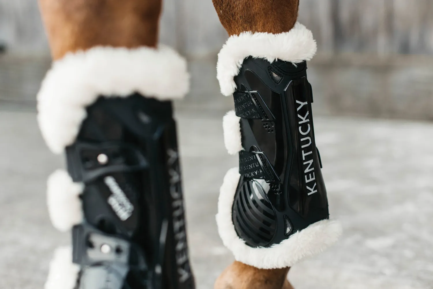 KENTUCKY HORSEWEAR Vegan Sheepskin Elastic Tendon Boots with Bamboo Black