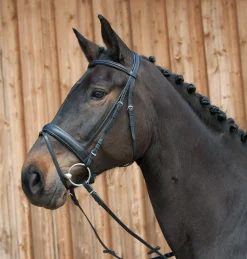 Discount KIEFFER SATTLERWAREN Kieffer Ergonomic III Snaffle Bridle
