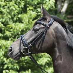 New KIEFFER SATTLERWAREN Kieffer Perseus Clincher Snaffle Bridle Black/Black