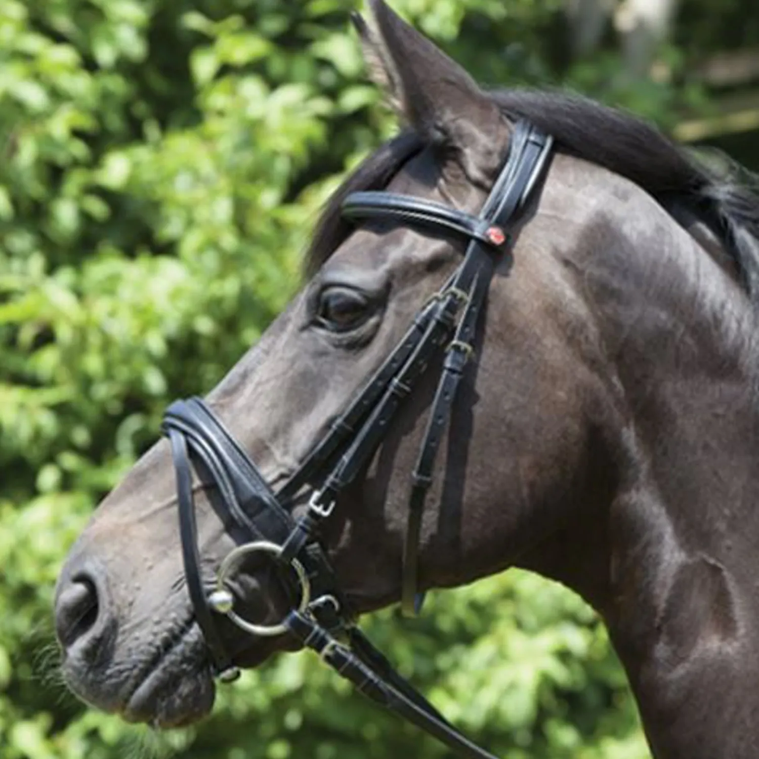 Online KIEFFER SATTLERWAREN Kieffer Perseus Snaffle Bridle with Plain Browband Black