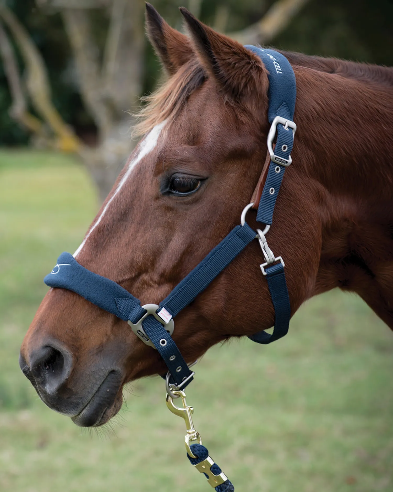 PARTRADE Lami-Cell Fleece-Lined Halter