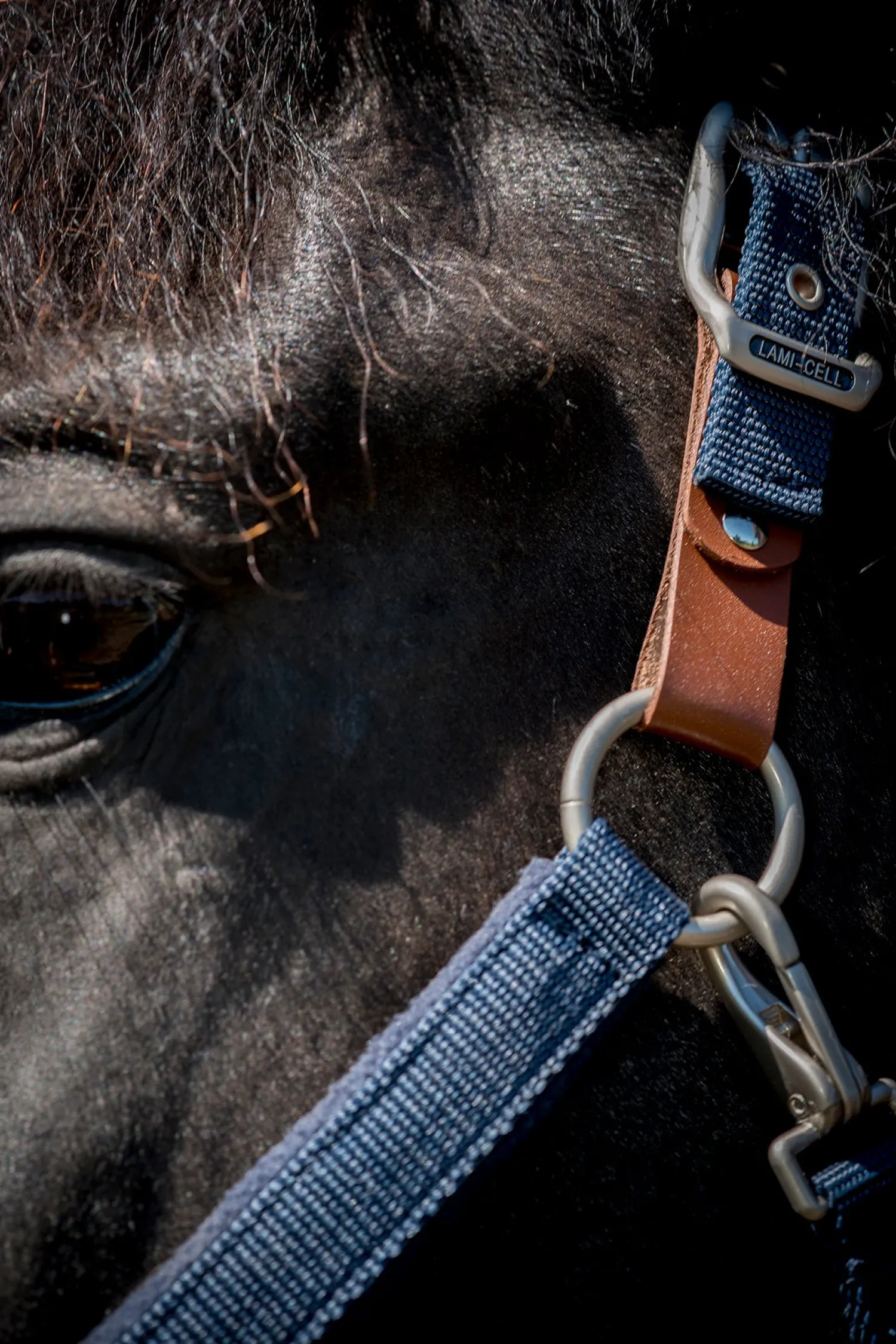 PARTRADE Lami-Cell Fleece-Lined Halter