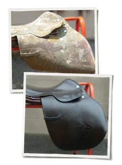 Best ANIMAL HEALTH INT Leather Therapy® Restorer & Conditioner™
