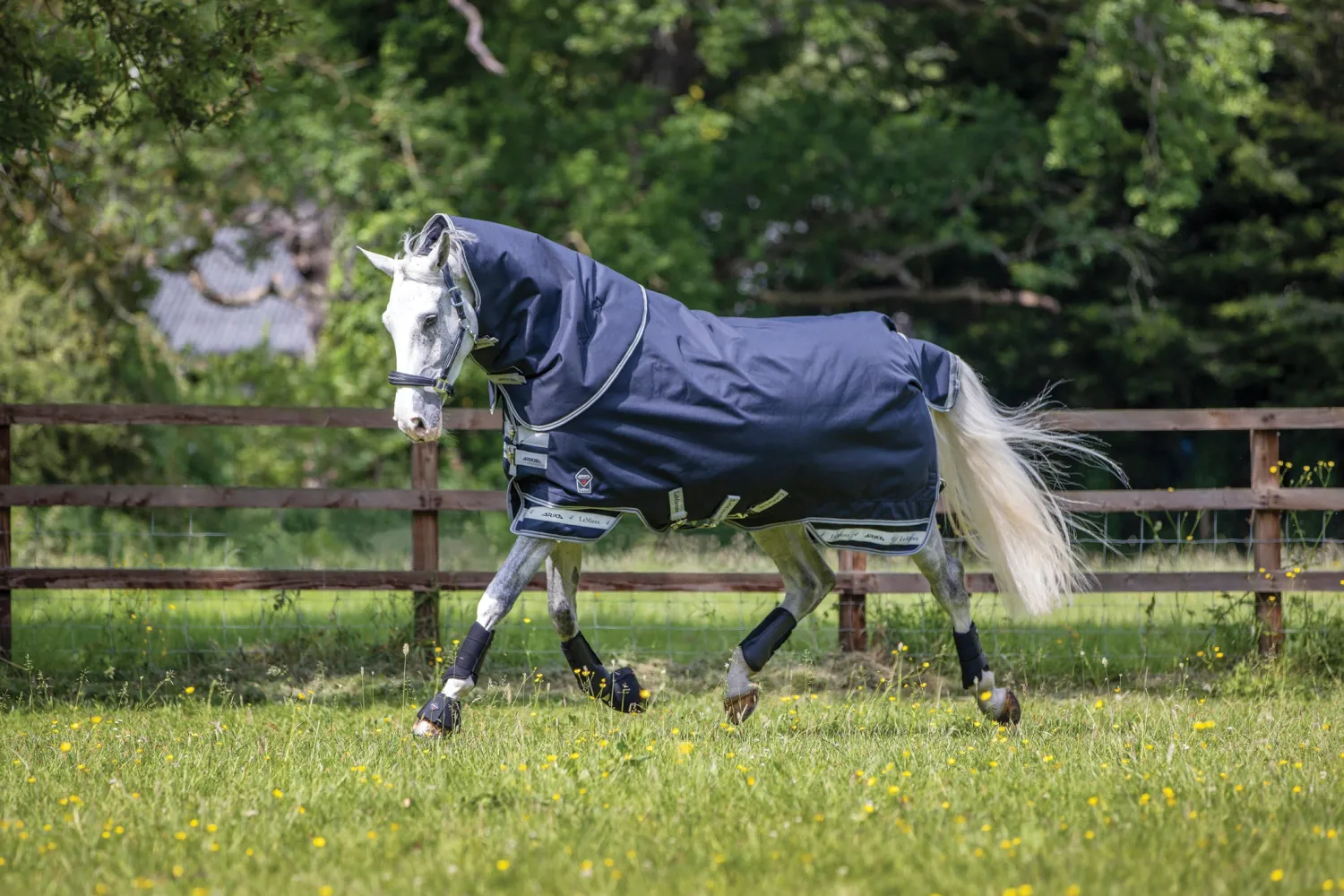 Clearance HORSE HEALTH TRADE LeMieux® Arika Featherweight Turnout Sheet Navy