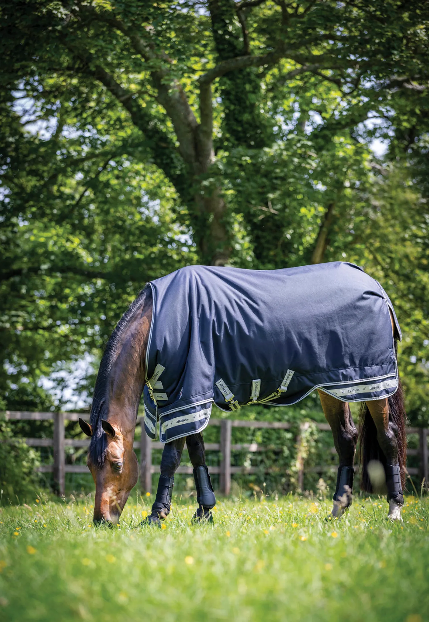 Clearance HORSE HEALTH TRADE LeMieux® Arika Featherweight Turnout Sheet Navy