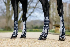 New HORSE HEALTH TRADE LeMieux® Arika Mesh Fly Boots Navy